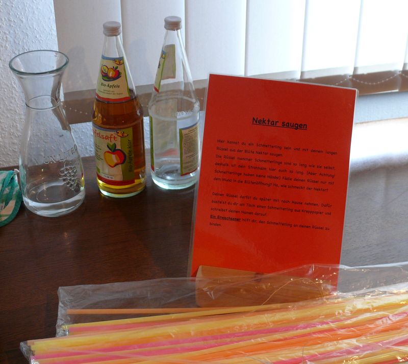 140927_wurzelkinder_schmetterlinge_nekatar_trinken