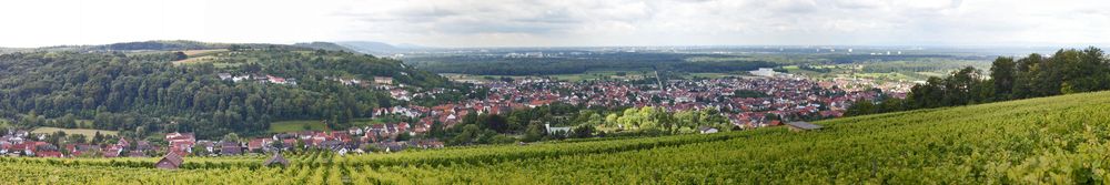 Weingarten