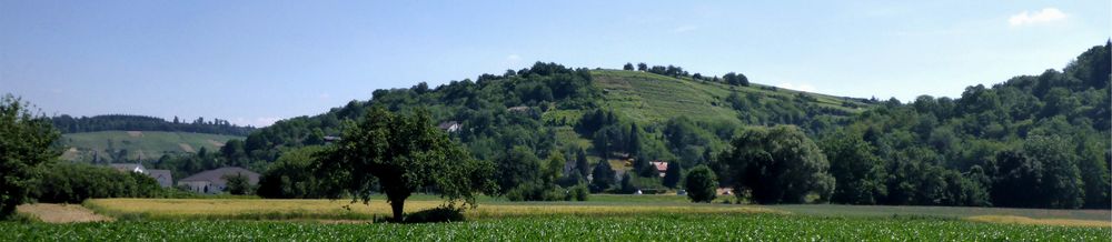 Weingartener_Weinberge_kl