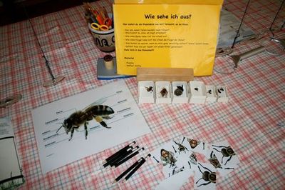 Workshop-Bienen