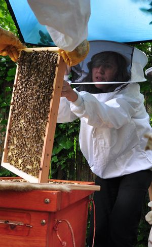 Bienen zeigen