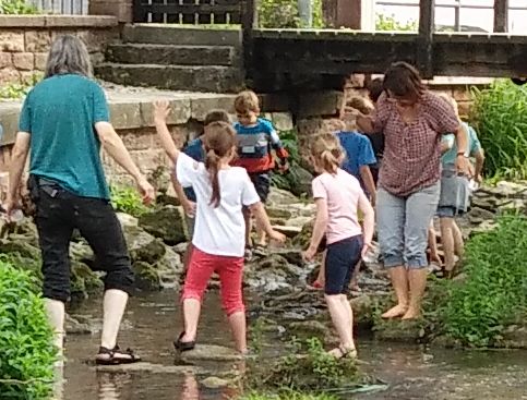 Tiere im Bach